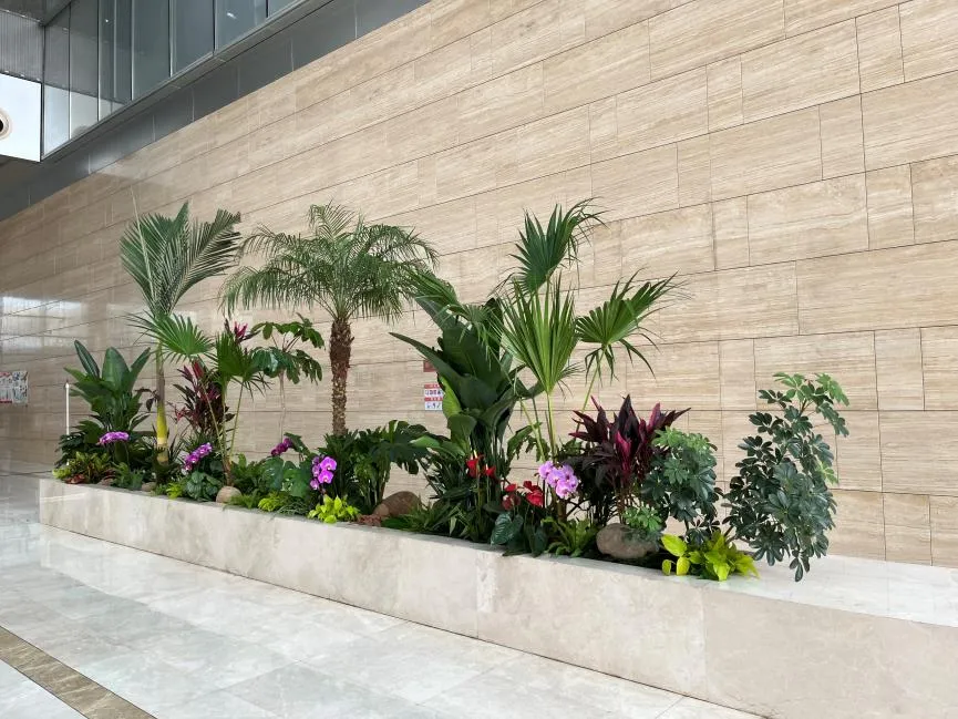 宁波北仑植物出租价格